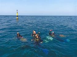 Обследовали дно от Тургеневского спуска до маяка